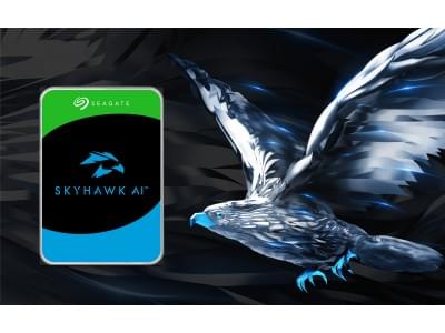 Жесткий диск SkyHawk AI Seagate ST32000VE000 (СИГЕЙТ) Жесткий диск SkyHawk AI Seagate ST32000VE000 (СИГЕЙТ)
