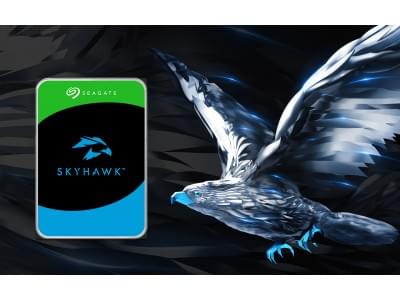 Жесткий диск SkyHawk Seagate ST8000VX010 (СИГЕЙТ) Жесткий диск SkyHawk Seagate ST8000VX010 (СИГЕЙТ)