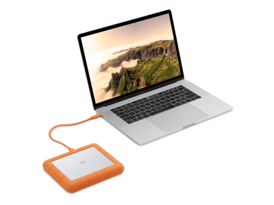 Внешний жесткий диск LaCie Rugged RAID Shuttle STHT8000800 (СИГЕЙТ) Внешний жесткий диск LaCie Rugged RAID Shuttle STHT8000800 (СИГЕЙТ)