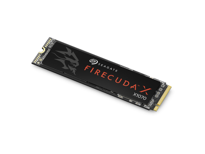 Твердотельный накопитель FireCuda X1070 Seagate ZP1000GS3A001 (СИГЕЙТ) Твердотельный накопитель FireCuda X1070 Seagate ZP1000GS3A001 (СИГЕЙТ)